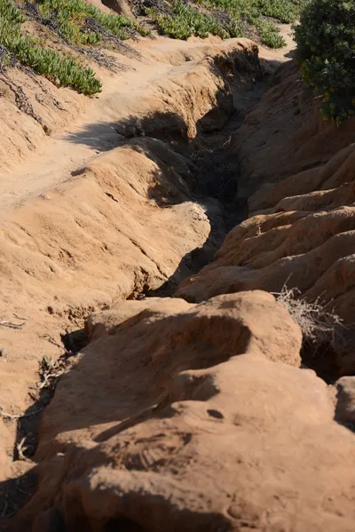 DSC_6972 (Large).JPG